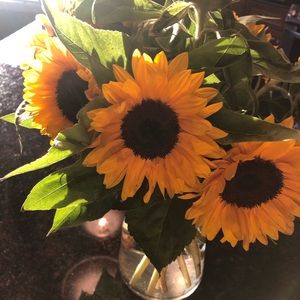 Meet your Posher, Audra